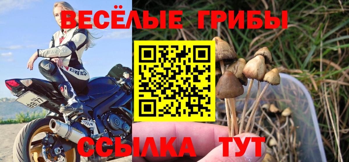 Псилоцибиновые грибы GOLDEN TEACHER Сызрань