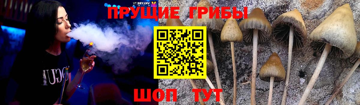 Галлюциногенные грибы Psilocybe  Галлюциногенные грибы Psilocybe  Вход с VPN  Сызрань 